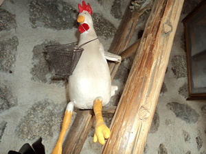 poule300-1.jpg