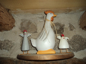 poule300-4.jpg