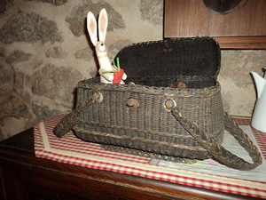 poule300-5.jpg