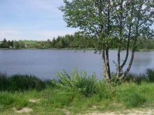 Le plan d'eau